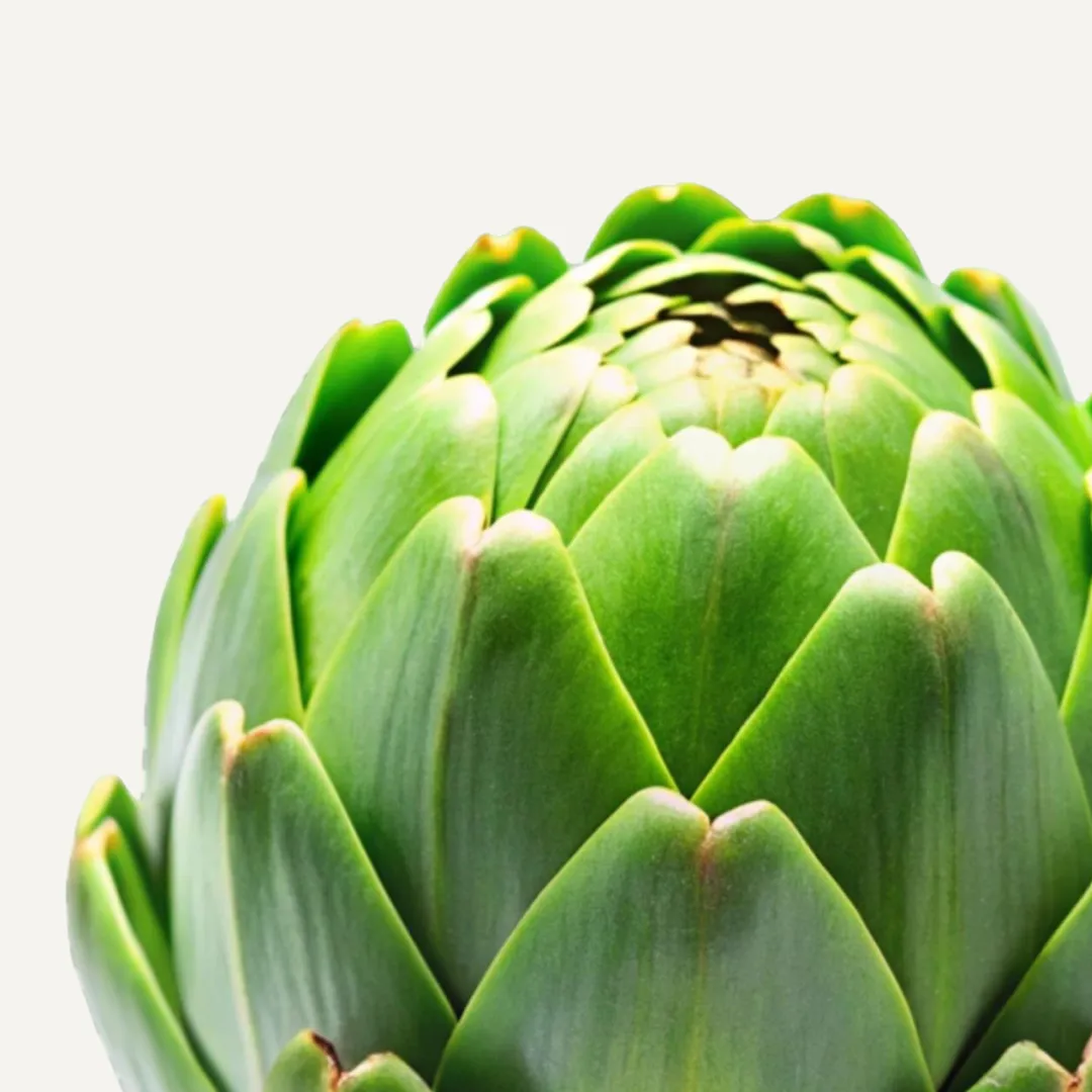 Artichoke - Image 2