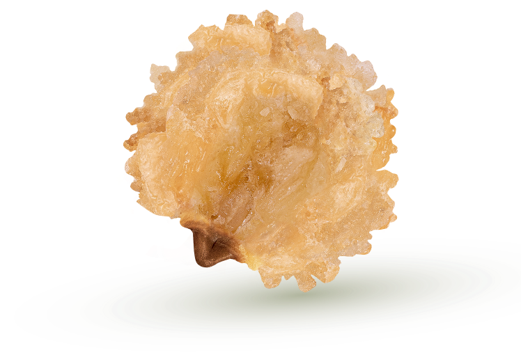 Tostón de Maíz
